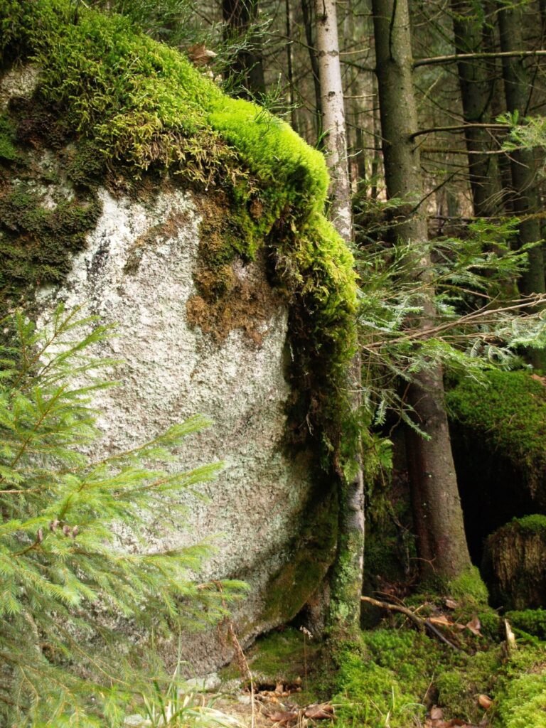 Schwarzwald_Gertelbach-Wasserfälle-Bühlertal Schwarzwald_Gertelbach-Wasserfälle-Bühlertal